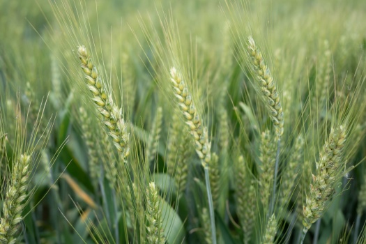 人际关系中翻脸的智慧与艺术