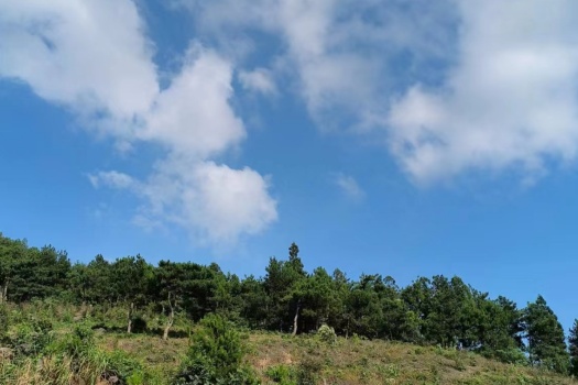 以故事为钥匙解锁心灵力量