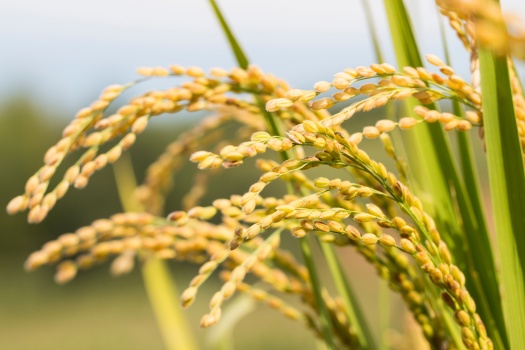 缺爱者如何为自己点灯