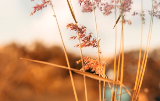 守护孩子自尊的家庭教育艺术