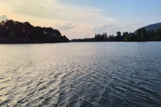 为何高能量的人能轻易影响他人?