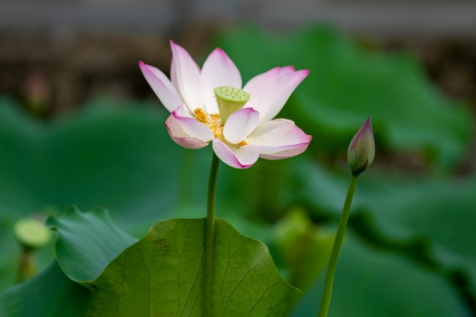 中年夫妻需在烟火气中沉淀爱