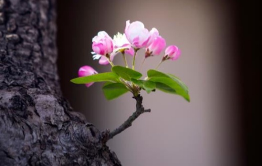 通过关系叙事重构自我认同与生命意义