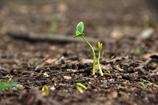 从特殊事件中挖掘生命的内在力量