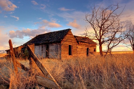 维持婚姻的究竟是什么？