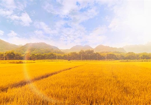 走出自恋的迷雾