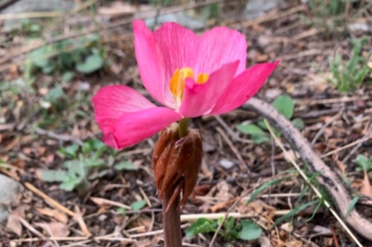 以游戏之心过严肃人生