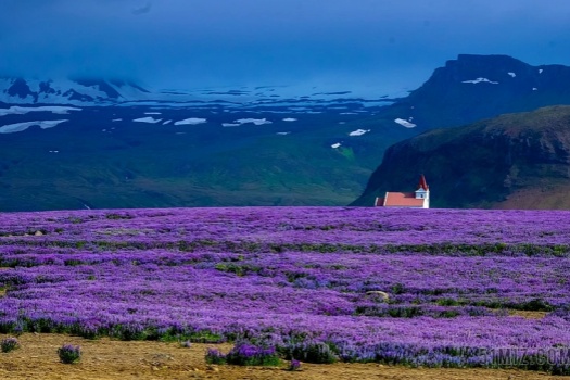 与感情焦虑共舞