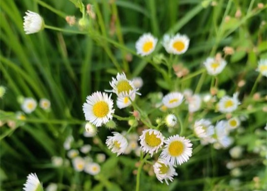 痛苦的疗愈之路