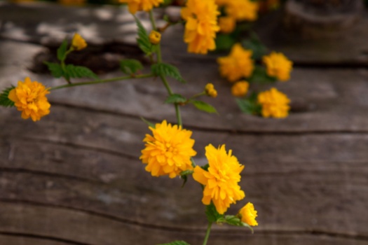 职场中的“被窃取”与自我重建